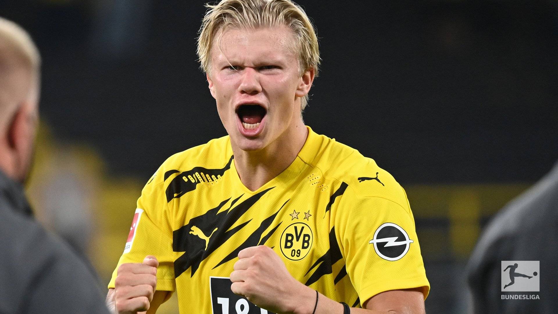 容内部竞争 容内部竞争